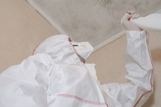 Best Office Mold Removal Services  in Forrest City, AR