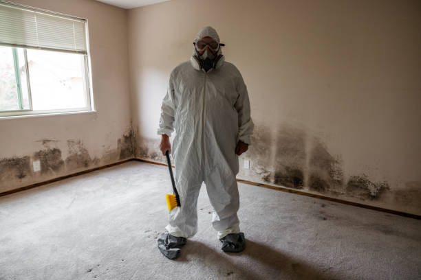 Best Certified Mold Removal  in Forrest City, AR